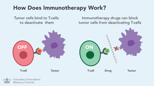 Kako radi imunoterapija