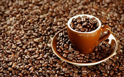 Kava je jedan od najbogatijih izvora kofeina