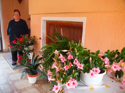 Marija Blažinić i u 85-oj godini s posebnim žarom uzgaja cvijeće