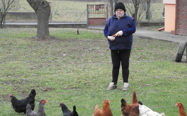 Božica Horvat u svom dvorištu hrani tridesetak kokoši